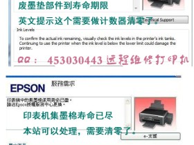 EPSON爱普森L805提示废墨收集垫将满_双灯交替闪怎么处理？